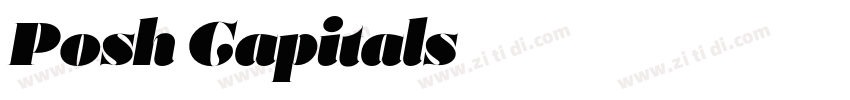 Posh Capitals字体转换